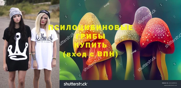 твердый Армянск