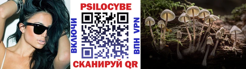 Галлюциногенные грибы Psilocybe  Купить закладки  Орлов 